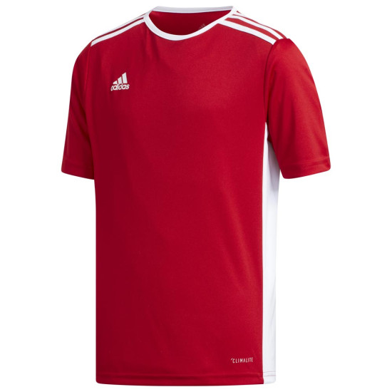 Adidas Παιδική κοντομάνικη μπλούζα Entrada 18 Jersey